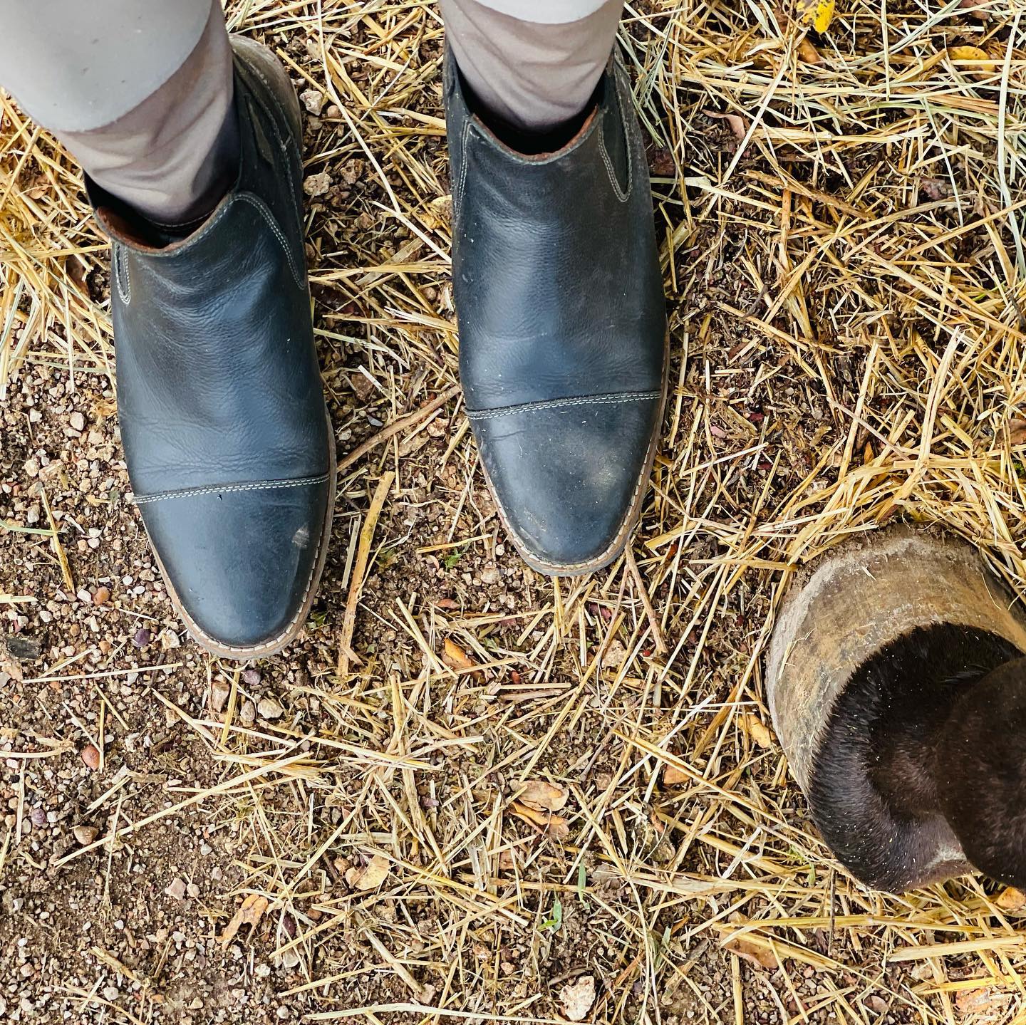 Hidalgo Sevilla Riding Boots