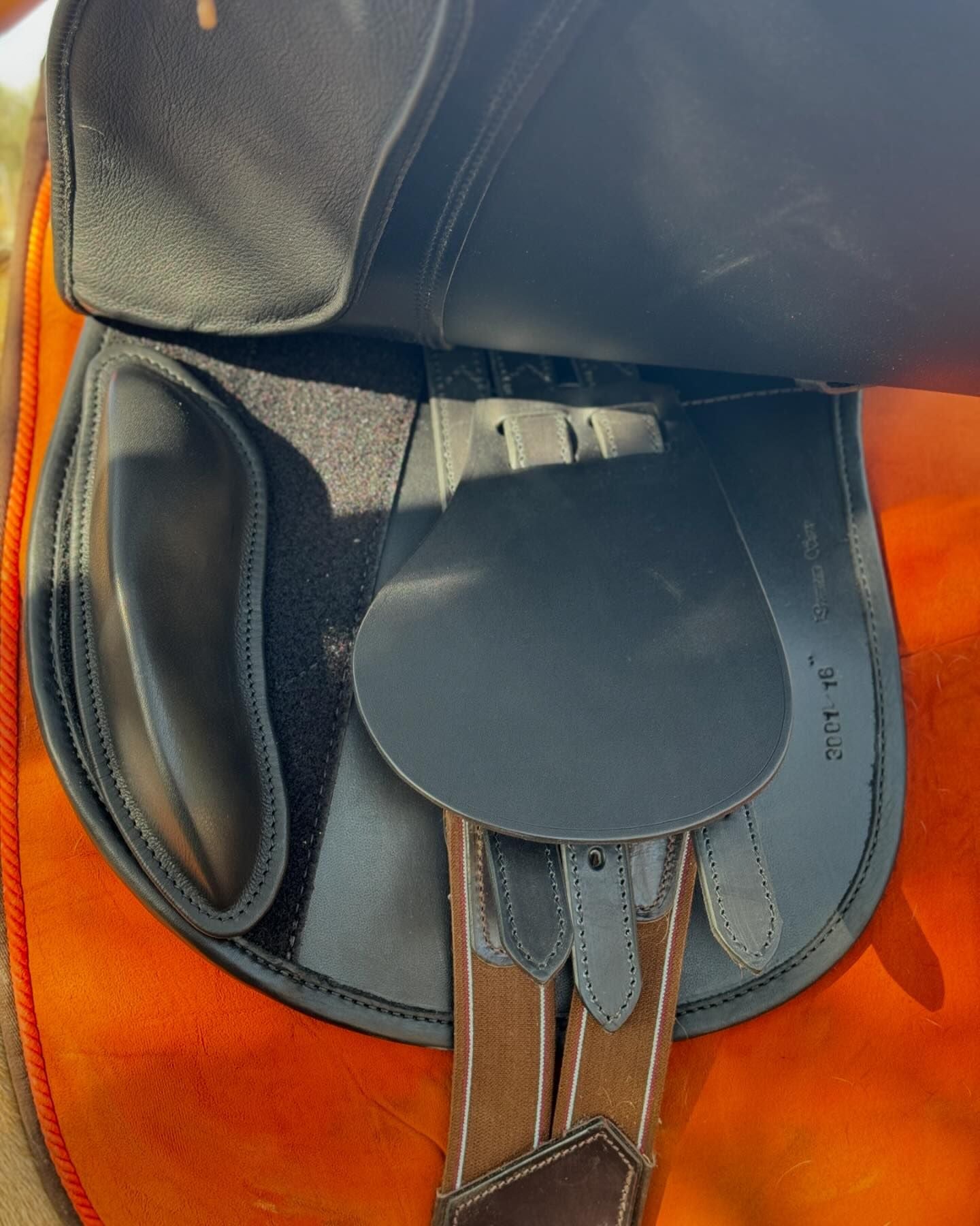 Alicante--All Purpose