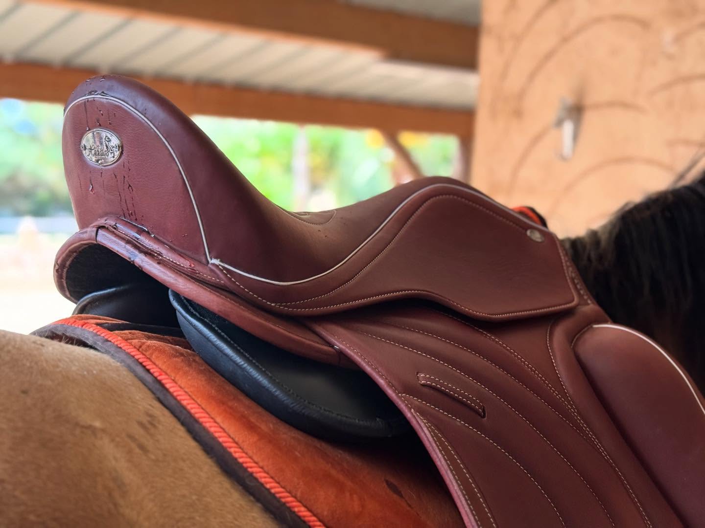 Ultra Comfort Dressage Panels