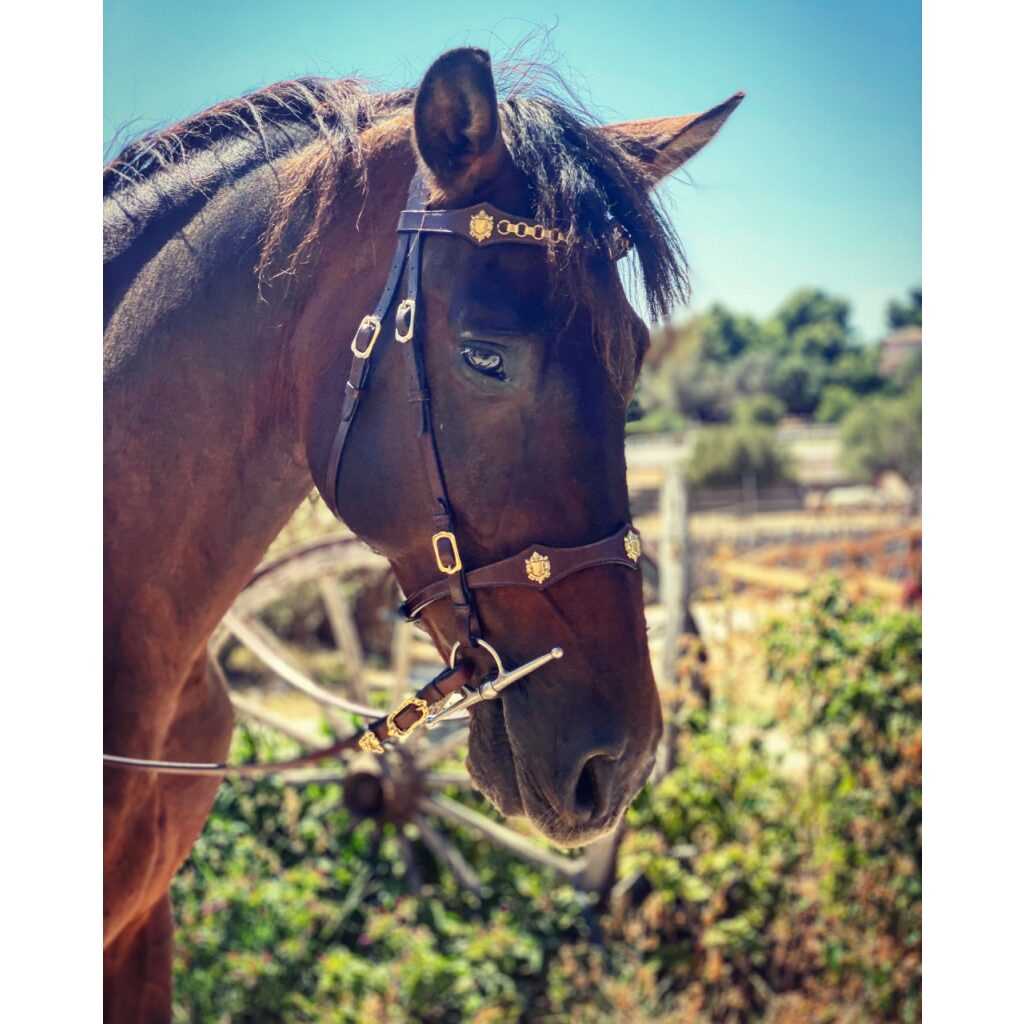 Hidalgo Cordoba Italian Leather Bridle