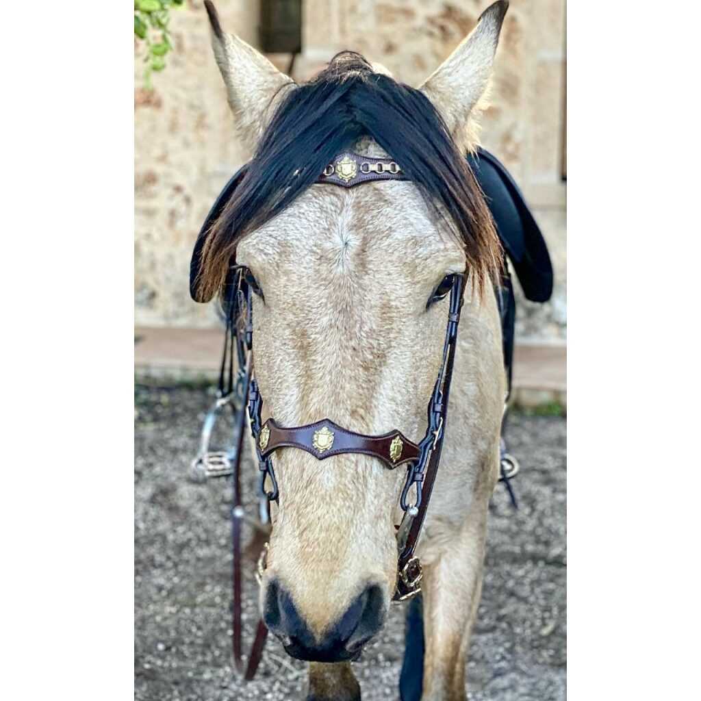 Hidalgo Cordoba Italian Leather Bridle