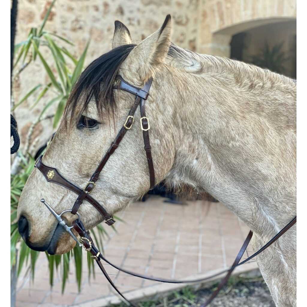 Hidalgo Cordoba Italian Leather Bridle