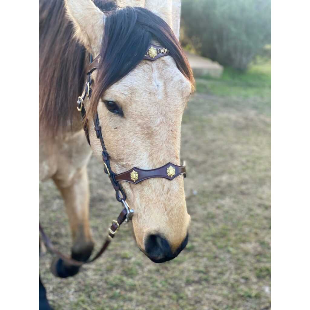 Hidalgo Cordoba Italian Leather Bridle