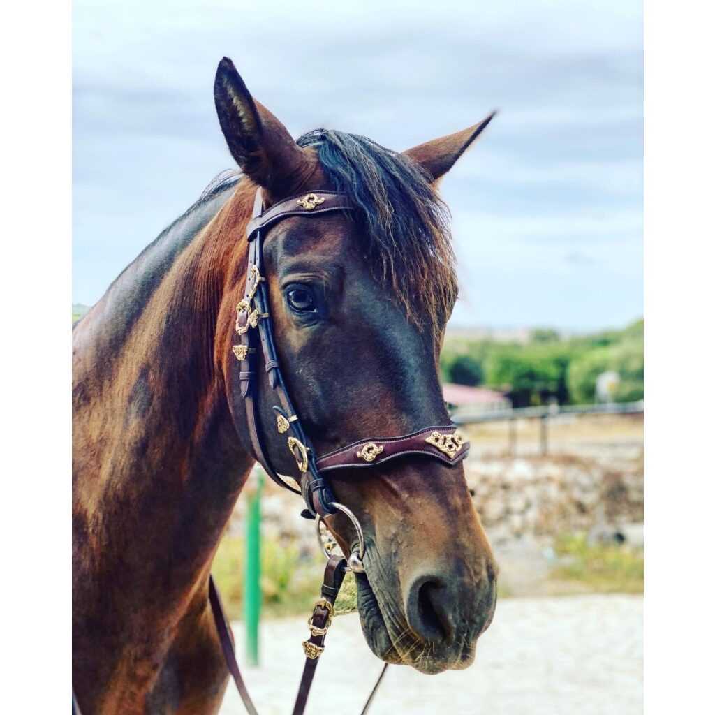 Hidalgo Sevilla Baroque Italian Leather Bridle