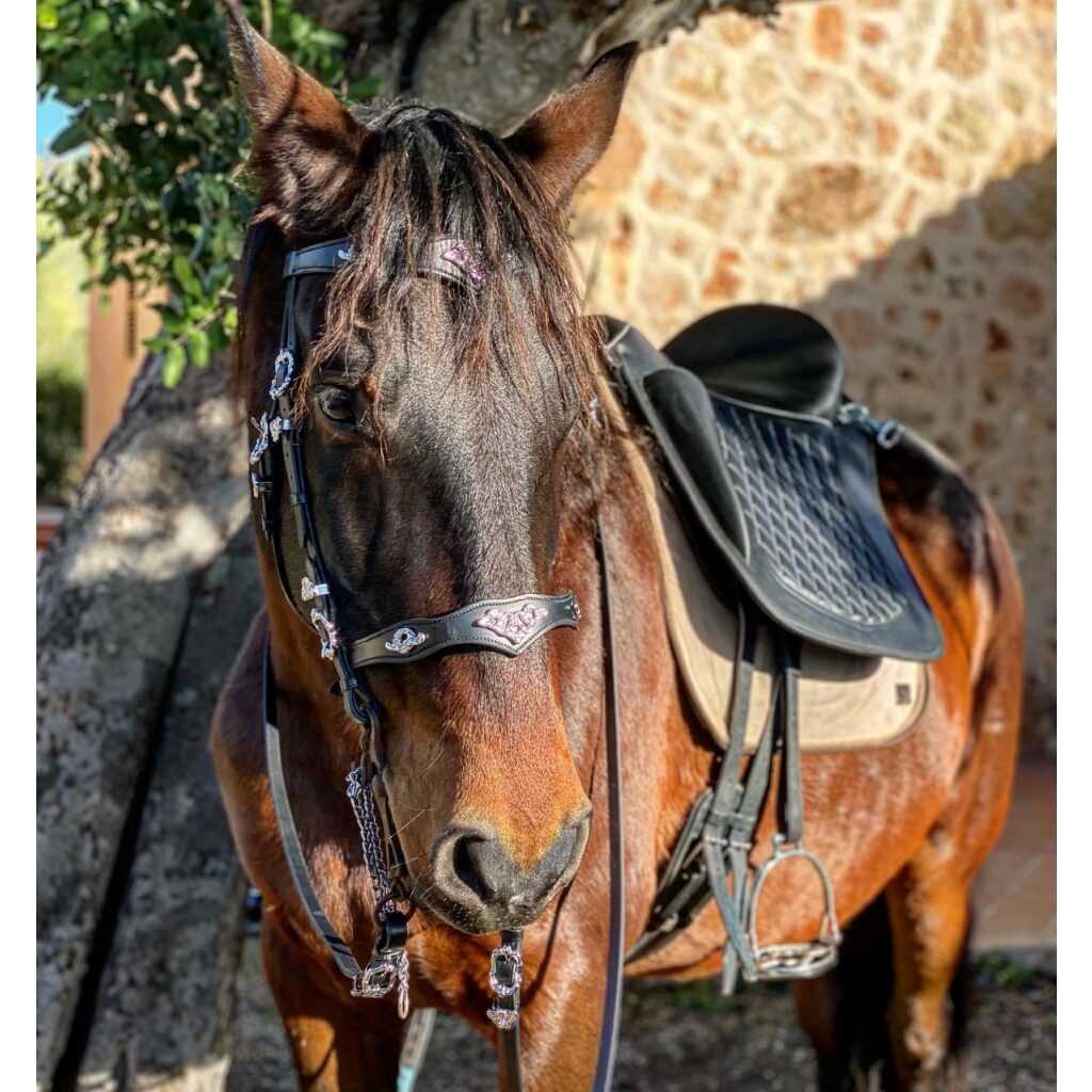 Hidalgo Sevilla Baroque Italian Leather Bridle