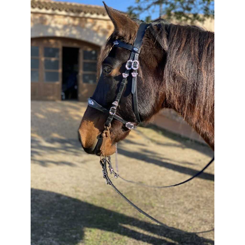 Hidalgo Sevilla Baroque Italian Leather Bridle