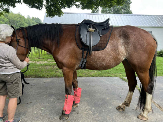 Venice 2, 17", SHIRE Sized Leather tree dressage saddle