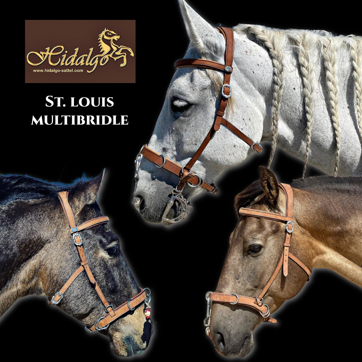 Hidalgo Multibridle St. Louis Original