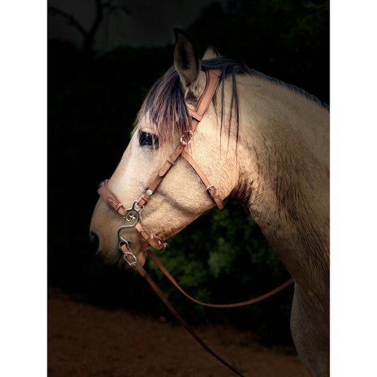 Hidalgo Hackamore-Size Full